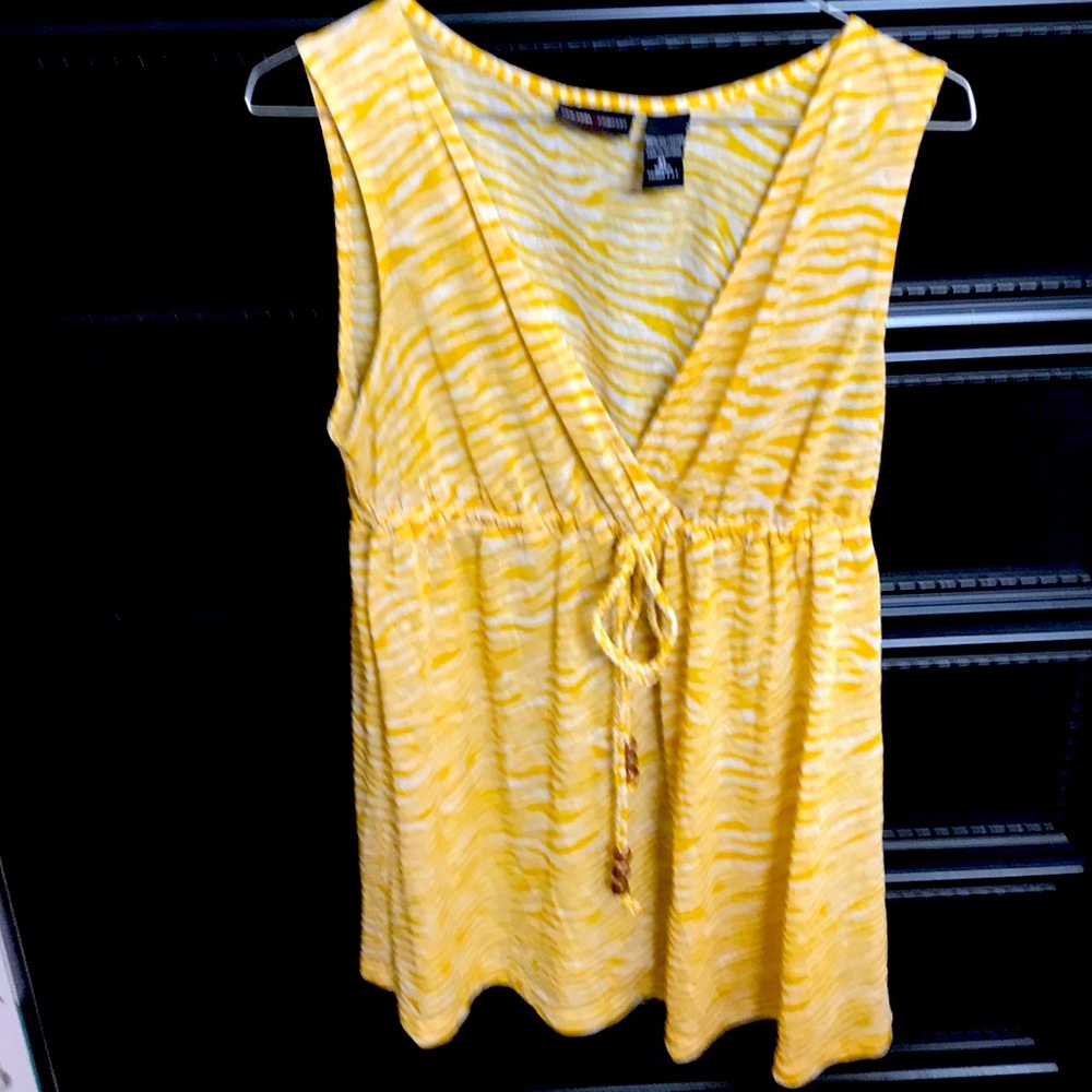 Zebra Stripe Top